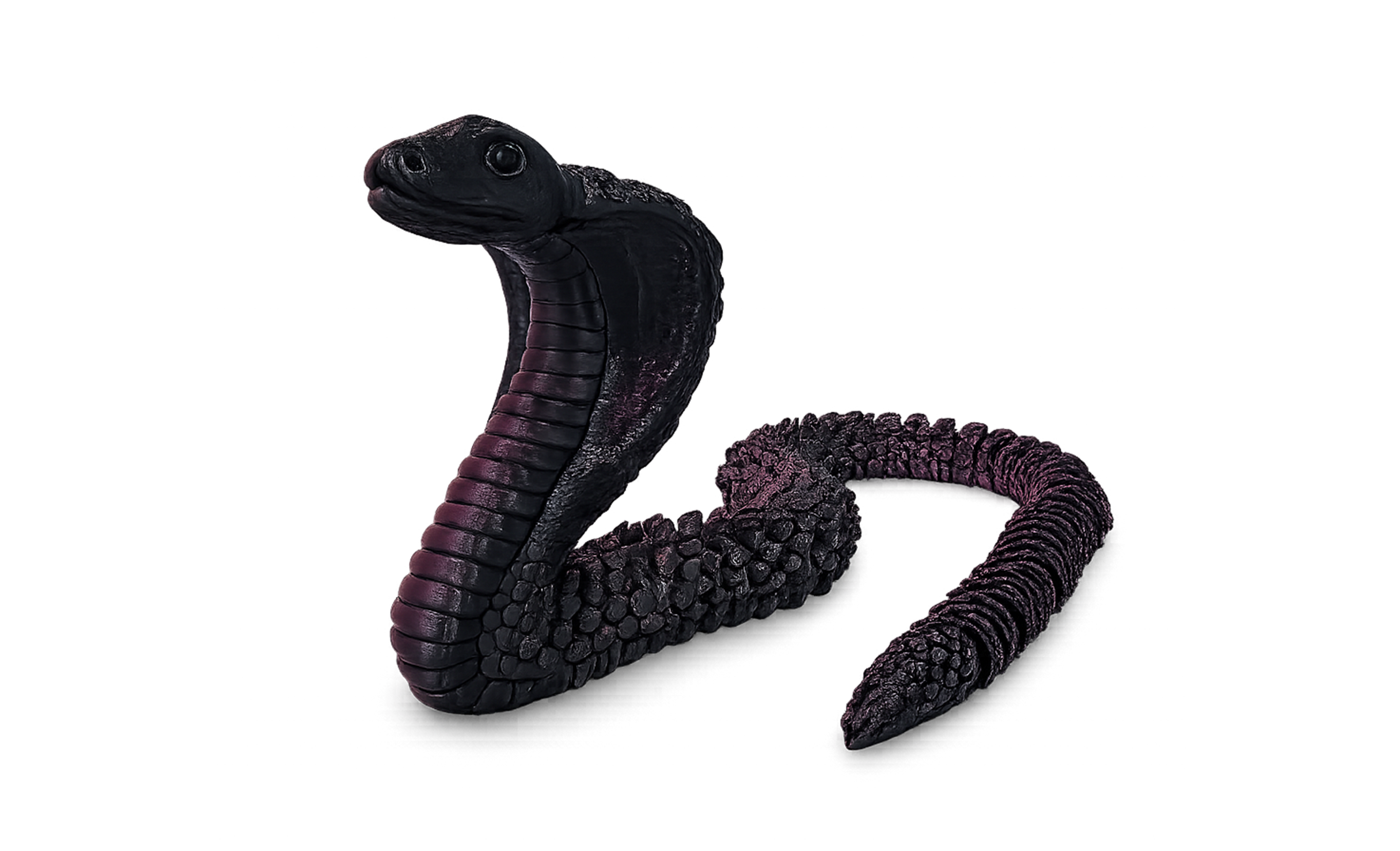 The Calm Cobra