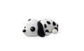 Dalmatian dog