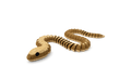 The Lazy Snake